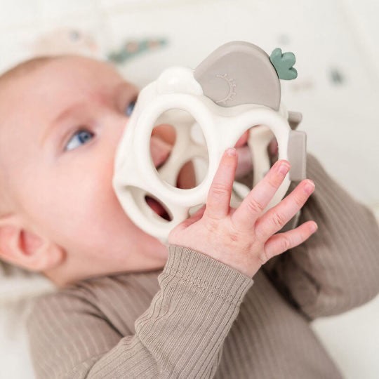 נשכן אחיזה לתינוק done by deer